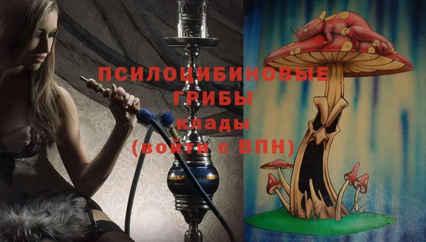 эйфоретик Заволжье