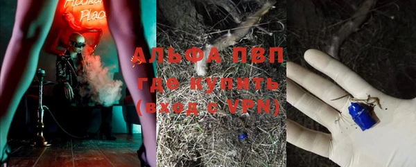 эйфоретик Заволжье