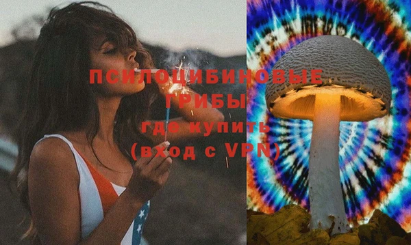 эйфоретик Заволжье