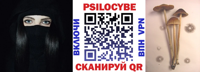 Псилоцибиновые грибы MAGIC MUSHROOMS  Купить где  Володарск 